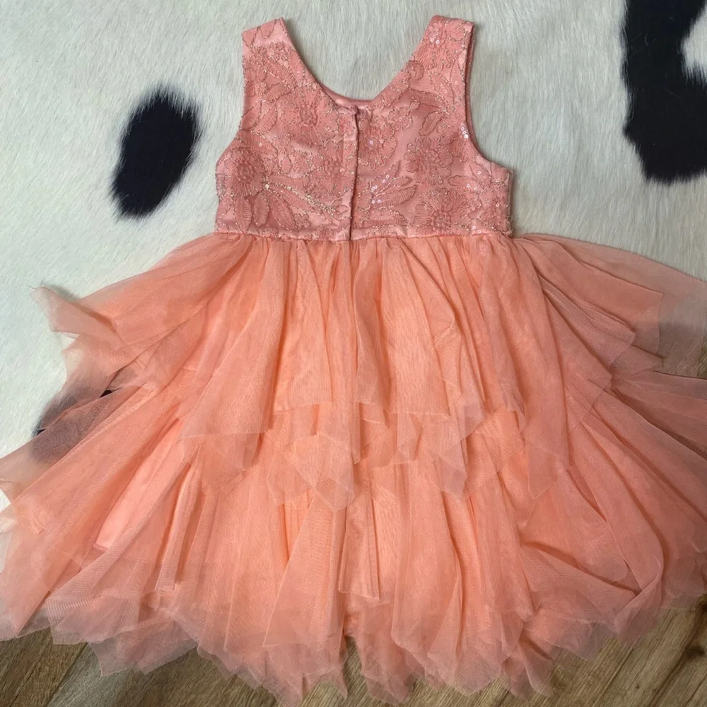 American Princess dress ball gown layered tulle, bling, lace, and sparkles - Picture 7 of 7